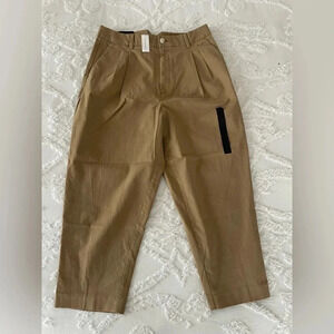 Banana Republic Authentic Chino Pleated Crop Pant